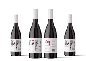 Pluma Bottle